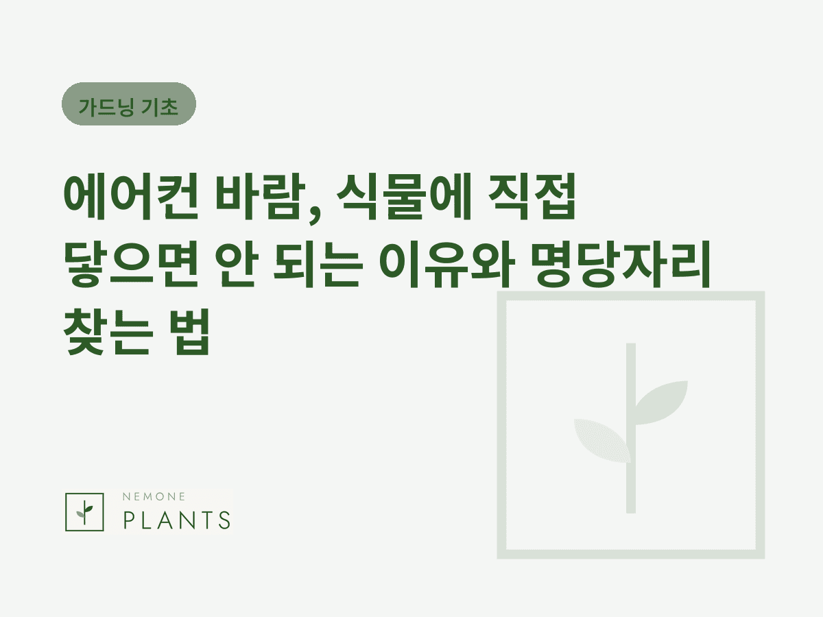 에어컨 바람, 식물에 직접 닿으면 안 되는 이유와 명당자리 찾는 법