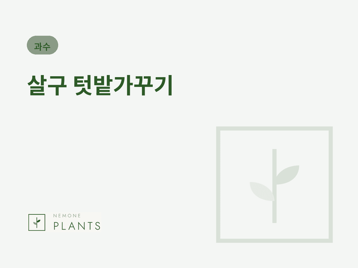 살구 텃밭가꾸기