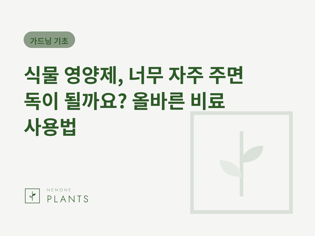 식물 영양제, 너무 자주 주면 독이 될까요? 올바른 비료 사용법