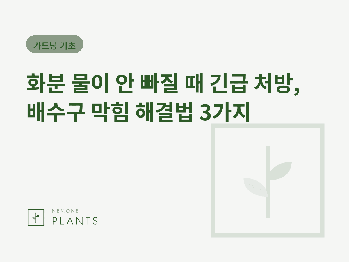 화분 물이 안 빠질 때 긴급 처방, 배수구 막힘 해결법 3가지