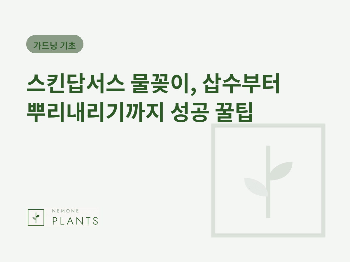 스킨답서스 물꽂이, 삽수부터 뿌리내리기까지 성공 꿀팁
