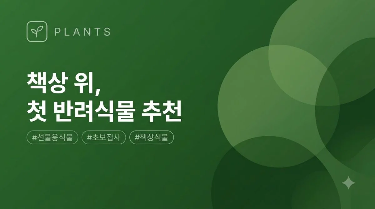 책상 위, 첫 반려식물이 되어줄 다섯 그루