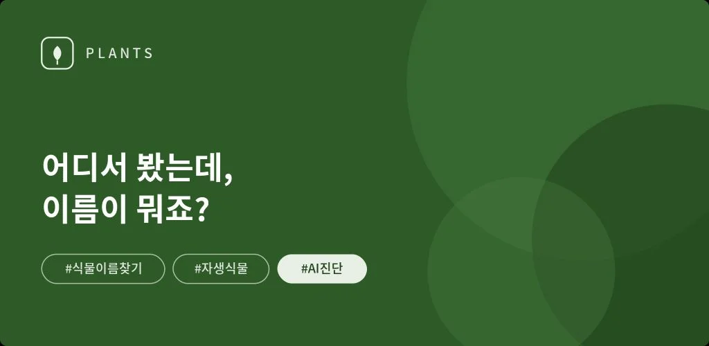 이 식물, 어디서 봤는데 이름이 뭐죠?