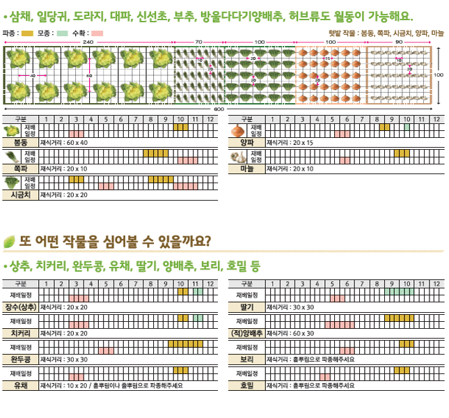 학습용 텃밭