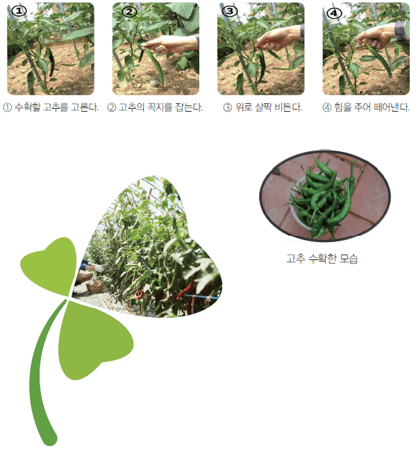 도시농업 농자재 정보_수확