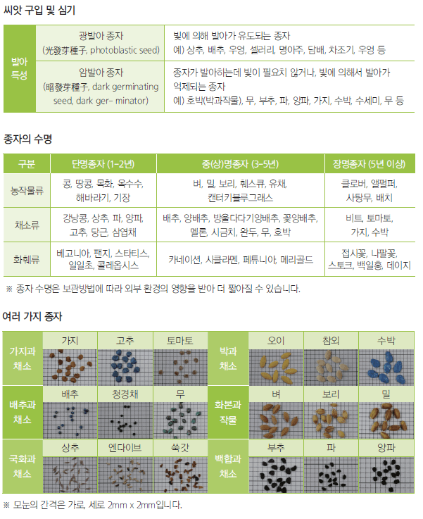도시농업 농자재 정보_씨앗(종자) 구입 및 심기