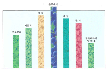블루베리 텃밭가꾸기