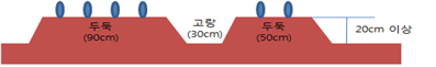 당근
