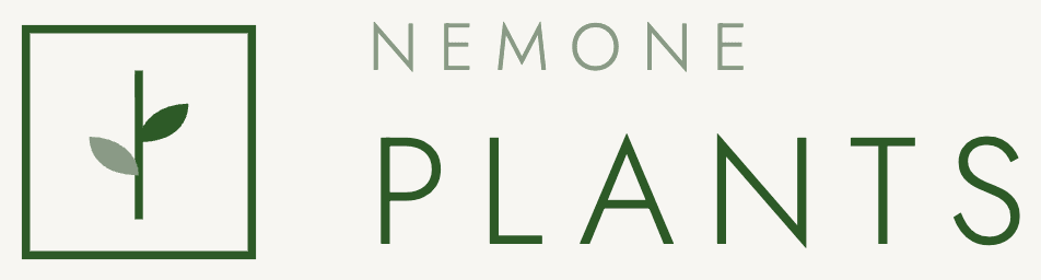 NEMONE PLANTS