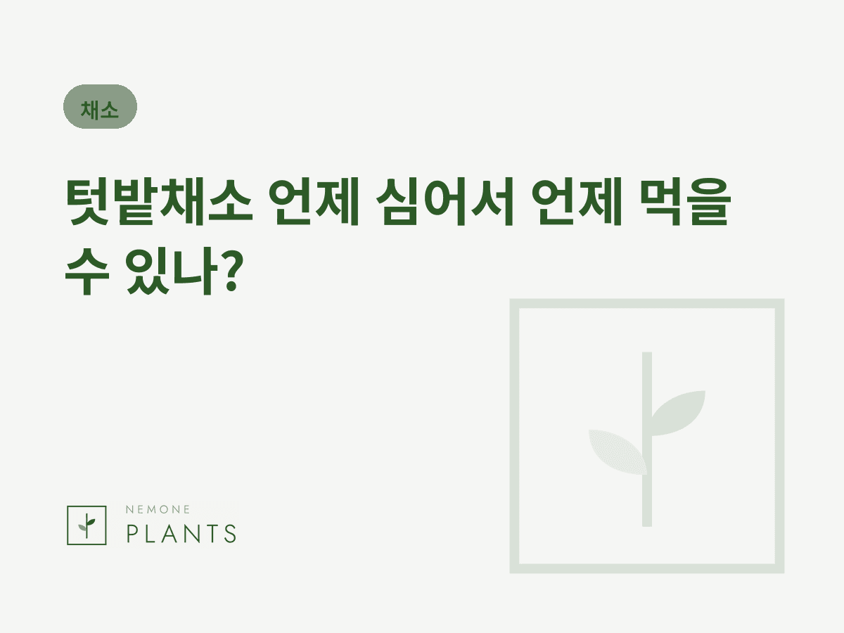 텃밭채소 언제 심어서 언제 먹을 수 있나?