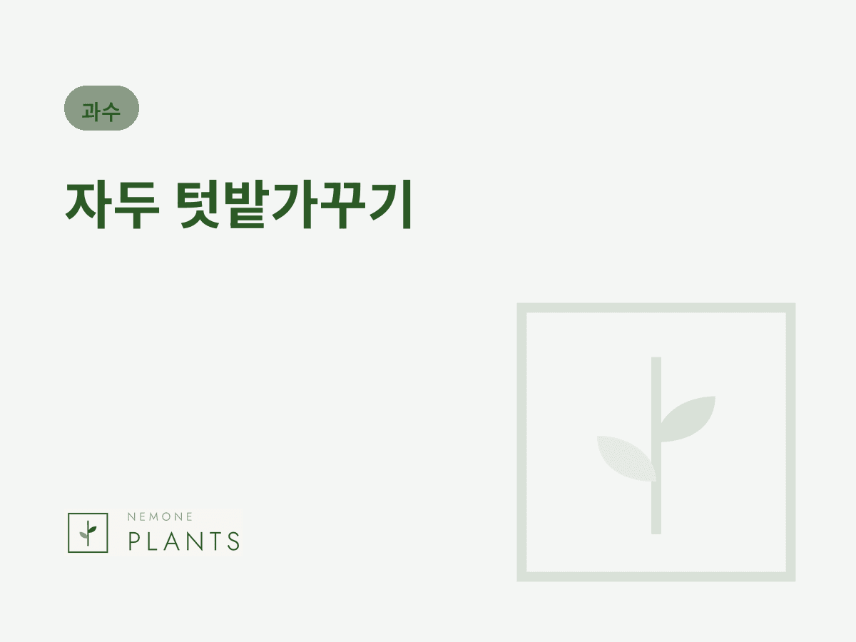 자두 텃밭가꾸기
