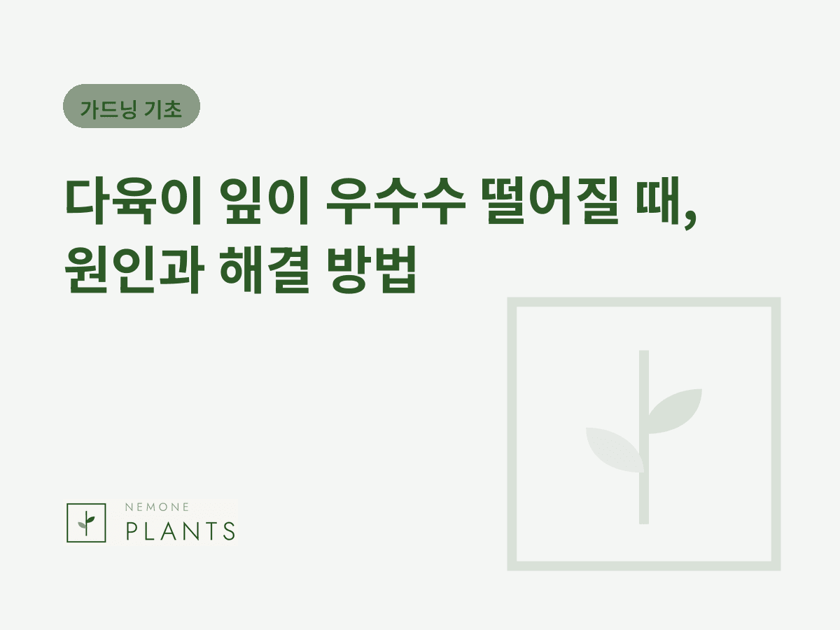 다육이 잎이 우수수 떨어질 때, 원인과 해결 방법