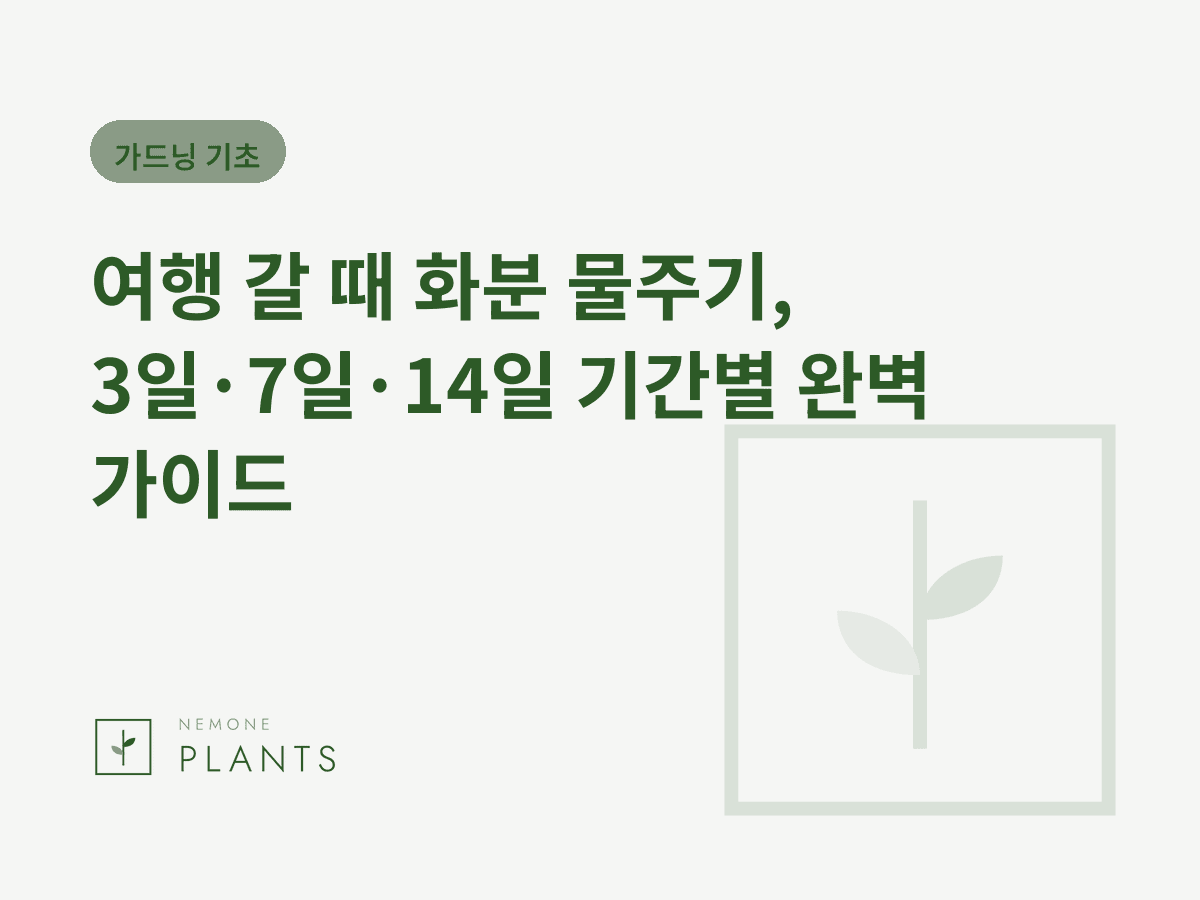 여행 갈 때 화분 물주기, 3일·7일·14일 기간별 완벽 가이드