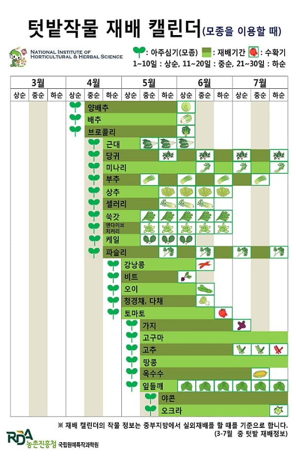 텃밭작물 재배 캘린더(모종을 이용한 텃밭재배)