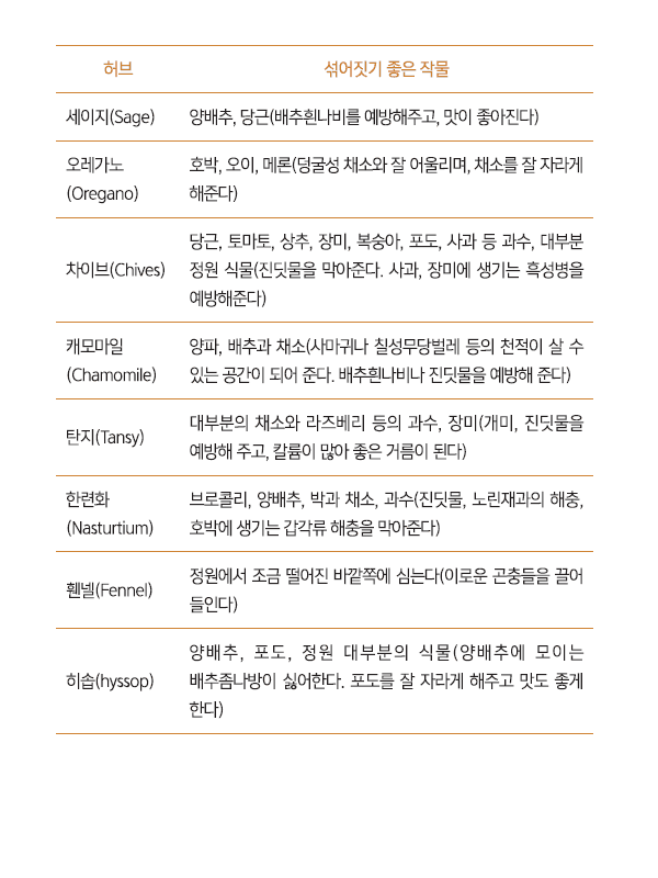 섞어짓기