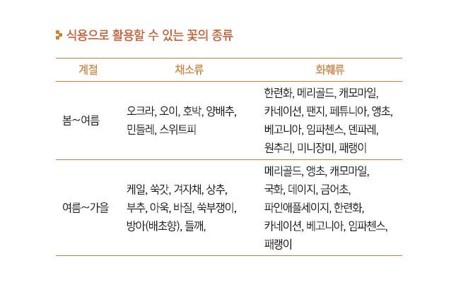 먹을 수 있는 꽃