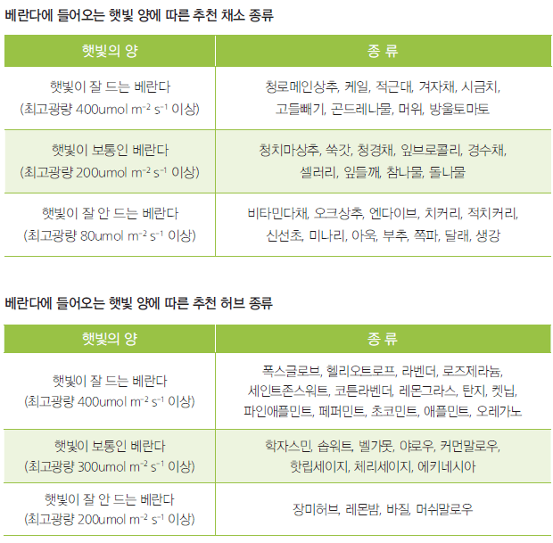 도시농업 농자재 정보_실내 텃밭 재배식물