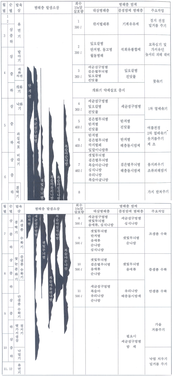 복숭아 텃밭가꾸기